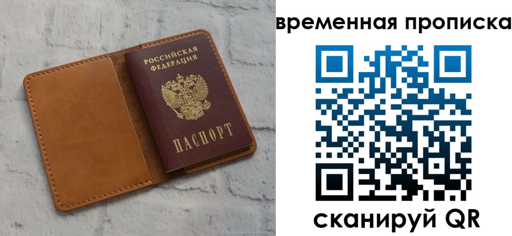 прописка поиск в Каргополе